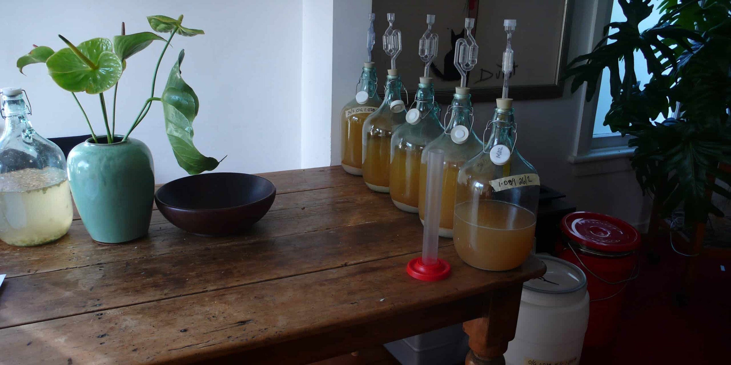 The Wild Ferment That Changed Everything