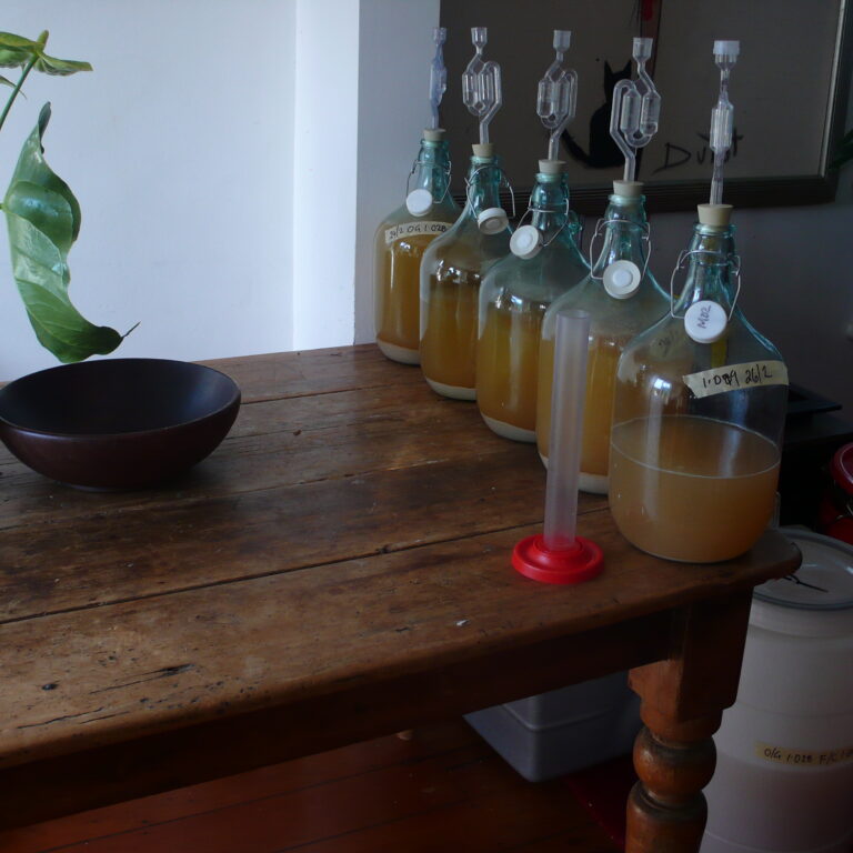 test brews 6